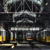 Buy canvas prints of Lisbon Streetcars I by Marco Oliveira