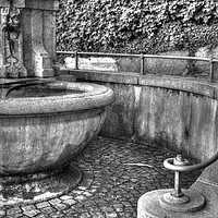 Buy canvas prints of The Horse watering trough by the Altes Tram-depot  by Paul Williams