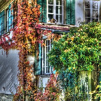 Buy canvas prints of Vine covered Swiss Country Cottage by Paul Williams