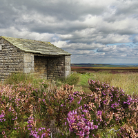 Buy canvas prints of  Stone shelter overlooking the moorland by Jolanta Kostecka