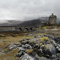 Buy canvas prints of   Eilean Donan Castle in misty morning by Jolanta Kostecka