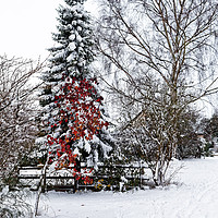 Buy canvas prints of Winter wonderland by Jolanta Kostecka