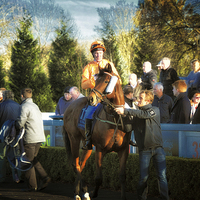 Buy canvas prints of  Pre-race - the Parade Ring at Lingfield by Jack Torcello