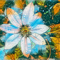 Buy canvas prints of Bejewelled Clematis IV by Jack Torcello