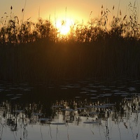 Buy canvas prints of  Okavango Delta Sunset by Angela Starling