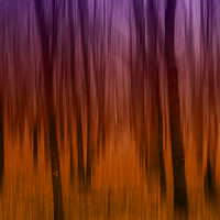 Buy canvas prints of Abstract Trees by Richard Clapson