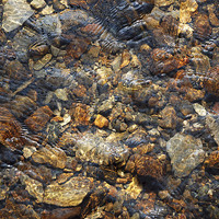 Buy canvas prints of  Stones in a Stream by Andrew Turpin