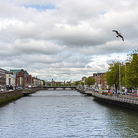 Buy canvas prints of River Dodder by Svetlana Sewell