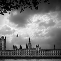 Buy canvas prints of  Westminster by Svetlana Sewell