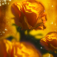 Buy canvas prints of  Golden Roses by Svetlana Sewell