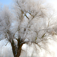 Buy canvas prints of  Winter Tree by Svetlana Sewell