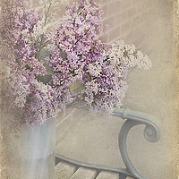 Buy canvas prints of  Lilac Touch by Svetlana Sewell