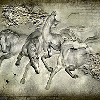 Buy canvas prints of  Horses by Svetlana Sewell