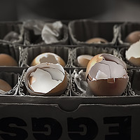 Buy canvas prints of  Egg shells by Svetlana Sewell