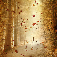 Buy canvas prints of  Autumn stroll by Svetlana Sewell