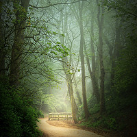 Buy canvas prints of  Mysterious Path  by Svetlana Sewell
