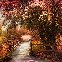 Buy canvas prints of  Autumn Path by Svetlana Sewell