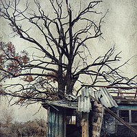 Buy canvas prints of  Abandoned house by Svetlana Sewell