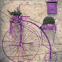Buy canvas prints of  Lavender Bicycle  by Svetlana Sewell