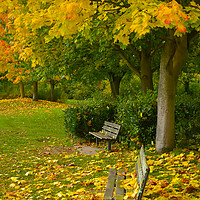 Buy canvas prints of  Autumn Bench by Svetlana Sewell