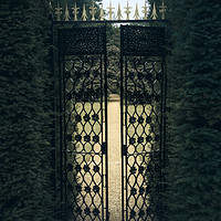 Buy canvas prints of  Iron Gate by Svetlana Sewell
