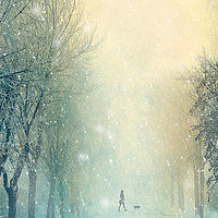 Buy canvas prints of Winter Stroll by Svetlana Sewell