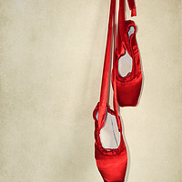 Buy canvas prints of Ballet Shoes by Svetlana Sewell