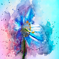 Buy canvas prints of Poppy art by Svetlana Sewell