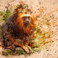 Buy canvas prints of Tamarin Lion Monkey by Svetlana Sewell