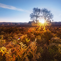 Buy canvas prints of Cold Morning by Svetlana Sewell