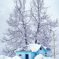 Buy canvas prints of Little Blue House by Svetlana Sewell