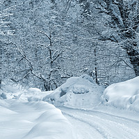 Buy canvas prints of Winter Road by Svetlana Sewell