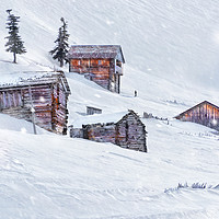 Buy canvas prints of Snow Fall by Svetlana Sewell
