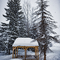 Buy canvas prints of Winter Gazebo by Svetlana Sewell