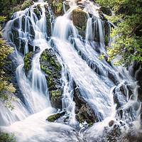 Buy canvas prints of Swallow Falls Power by Svetlana Sewell