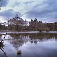 Buy canvas prints of Evening Reflections by Svetlana Sewell