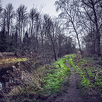 Buy canvas prints of River path by Svetlana Sewell