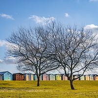 Buy canvas prints of Summer Sheds by Svetlana Sewell