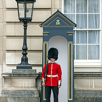 Buy canvas prints of Guard to the Buckingham Palace by Svetlana Sewell