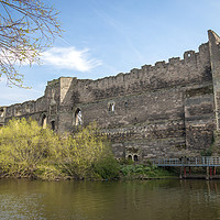 Buy canvas prints of Newark Castle by Svetlana Sewell