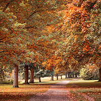 Buy canvas prints of Pretty Autumn Path by Svetlana Sewell