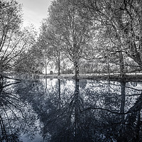 Buy canvas prints of Reflections of Trees by Svetlana Sewell