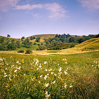 Buy canvas prints of North Yorkshire landscape by Svetlana Sewell