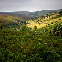 Buy canvas prints of Yorkshire Hills by Svetlana Sewell