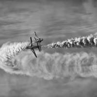 Buy canvas prints of  REDS 1 BW by Kelly Murdoch