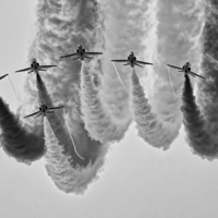 Buy canvas prints of  Reds 4 Bw by Kelly Murdoch