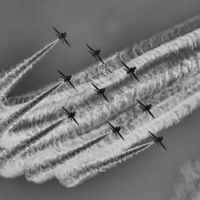 Buy canvas prints of  Reds 5 bw by Kelly Murdoch