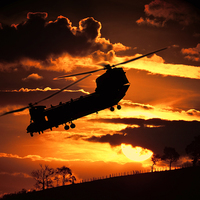 Buy canvas prints of  chinook at sunset by Kelly Murdoch