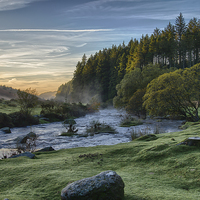 Buy canvas prints of  Bellever Forest Dartmoor by clifford Spittle