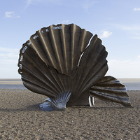 Buy canvas prints of  'Scallop' Sculpture  by Mark Roper